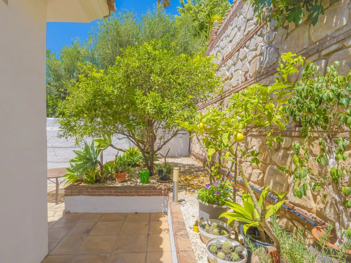 1a972533-e8b5-497f-ab9b-dd6aca8a26c1