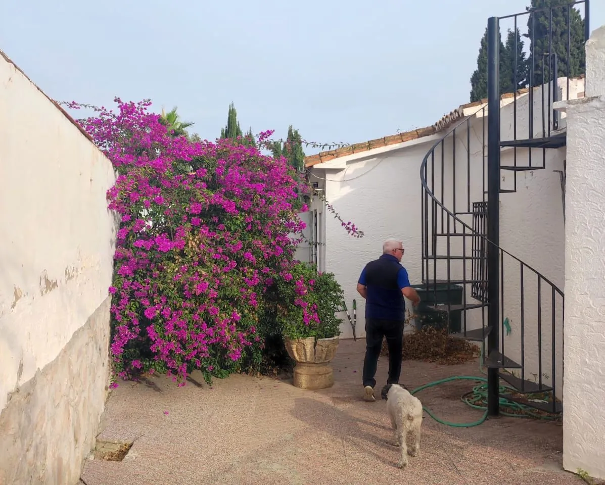 6d248a1d-8f87-4c5d-bd07-2df0b1ca2f57