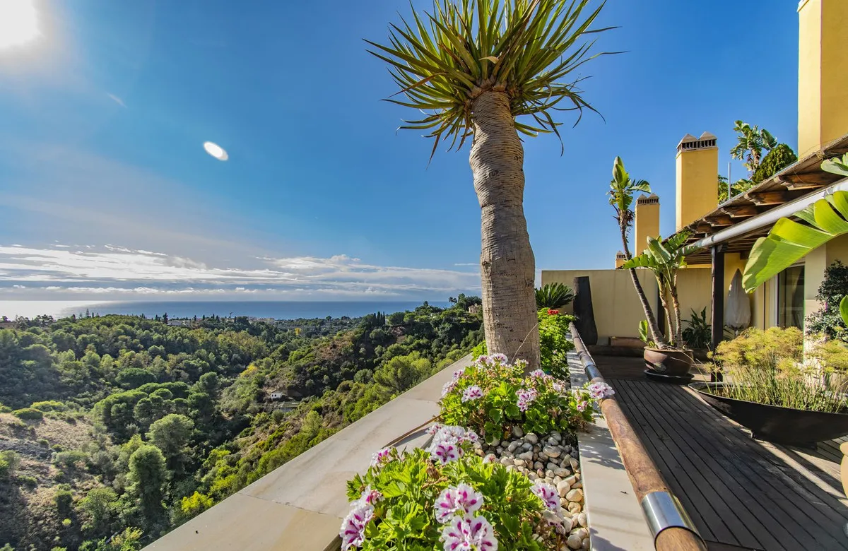 3a6edb22-b235-4f20-8085-9b6faf6bf9f2