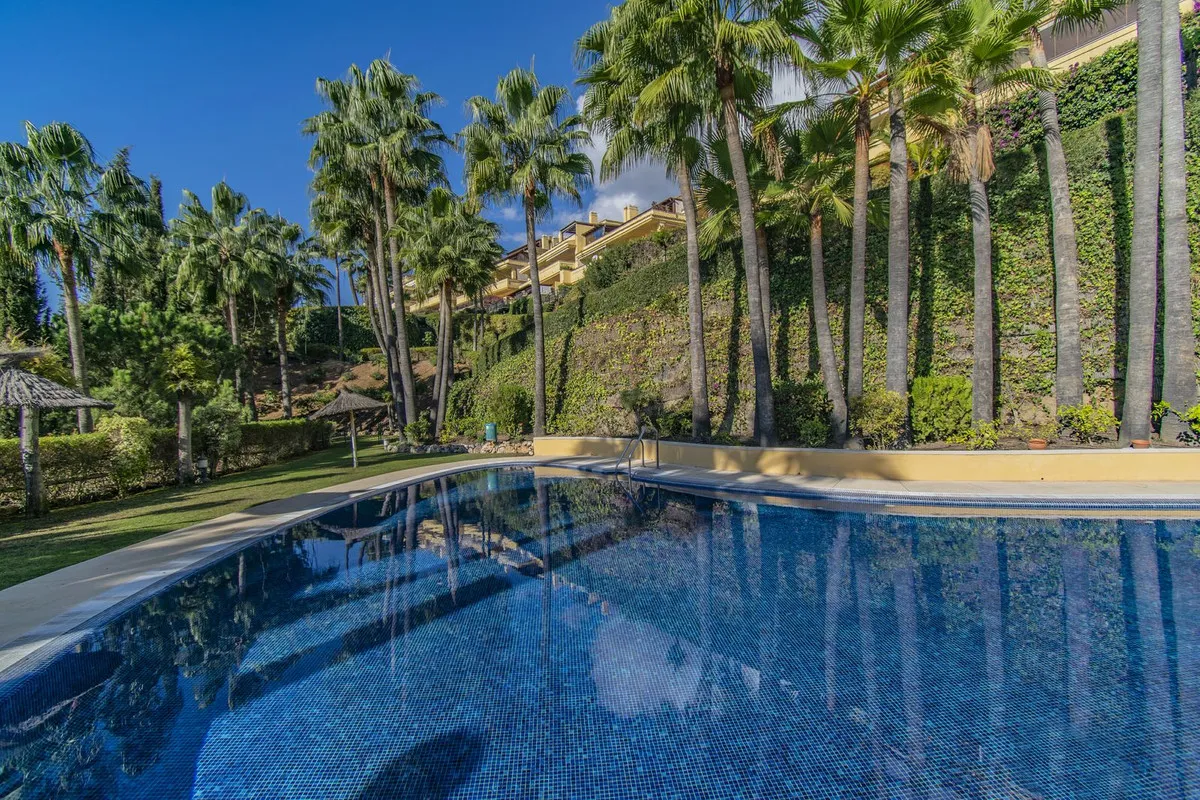 4916bd79-3405-40f7-8c23-ba5ce70a7f32