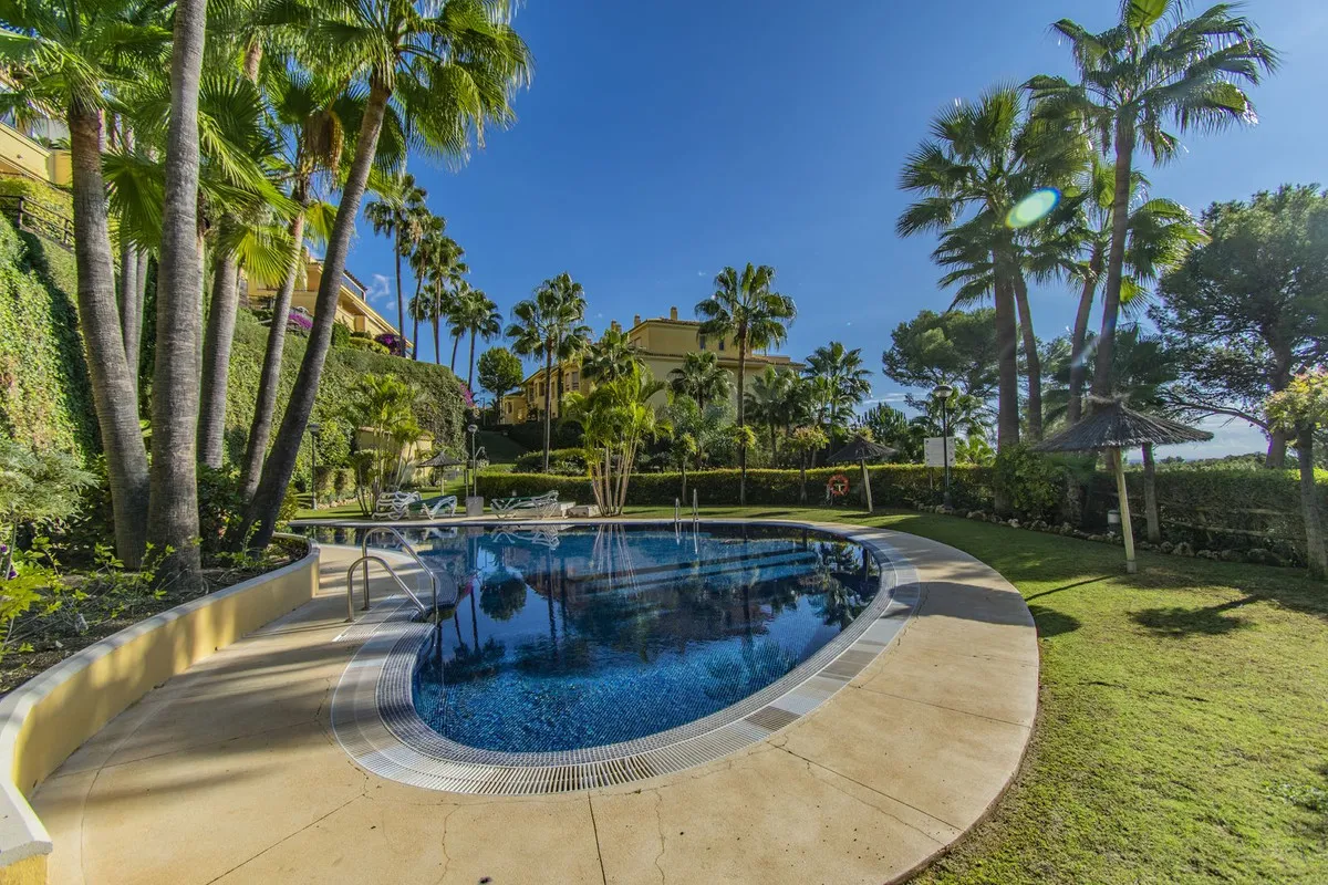 92c0bc86-6646-4d6c-a778-108ad969f629