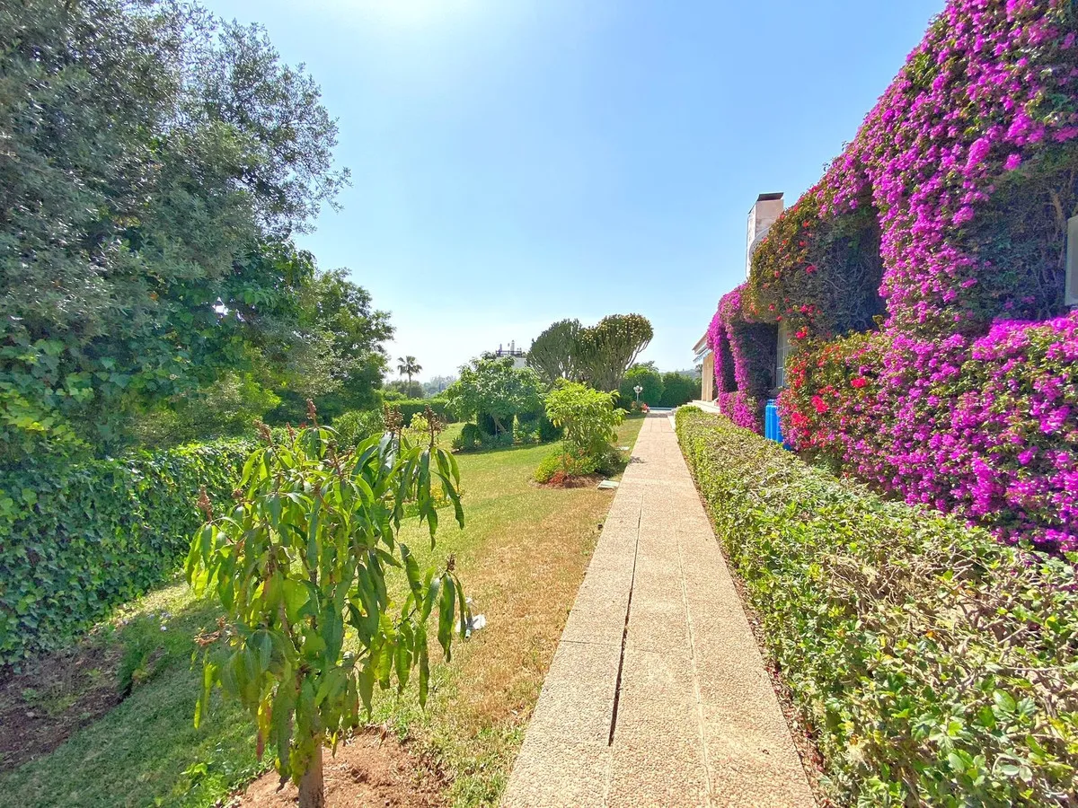 5c929421-1b44-4940-aab7-c488a720b19b