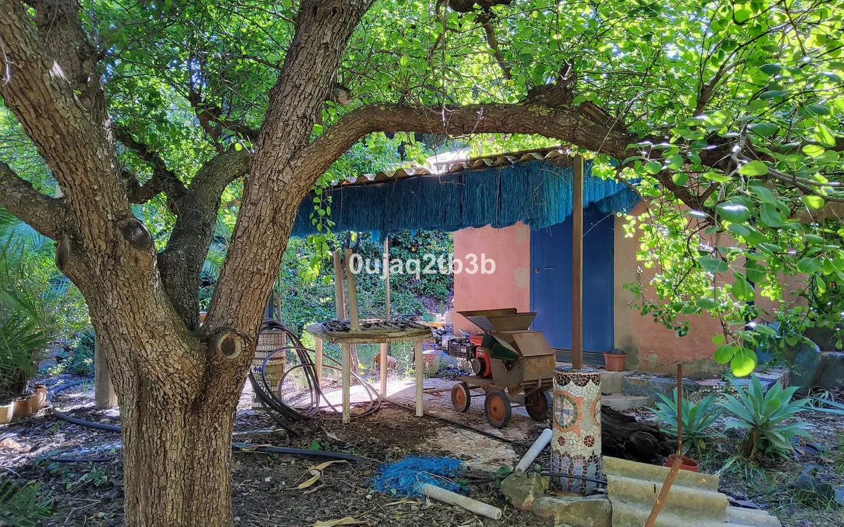 54a55226-aa8f-494b-9620-54545ee6a0c8