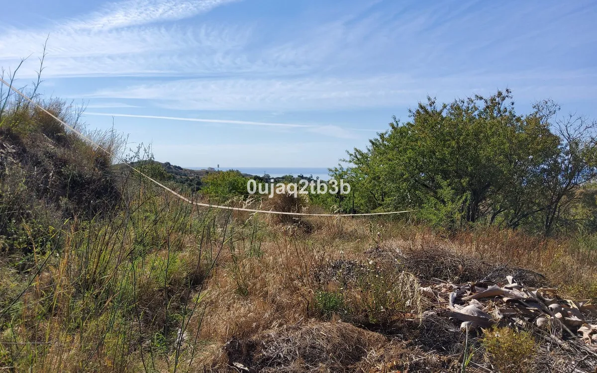 cf00e1d5-c267-49c4-a1d9-aec324177f73