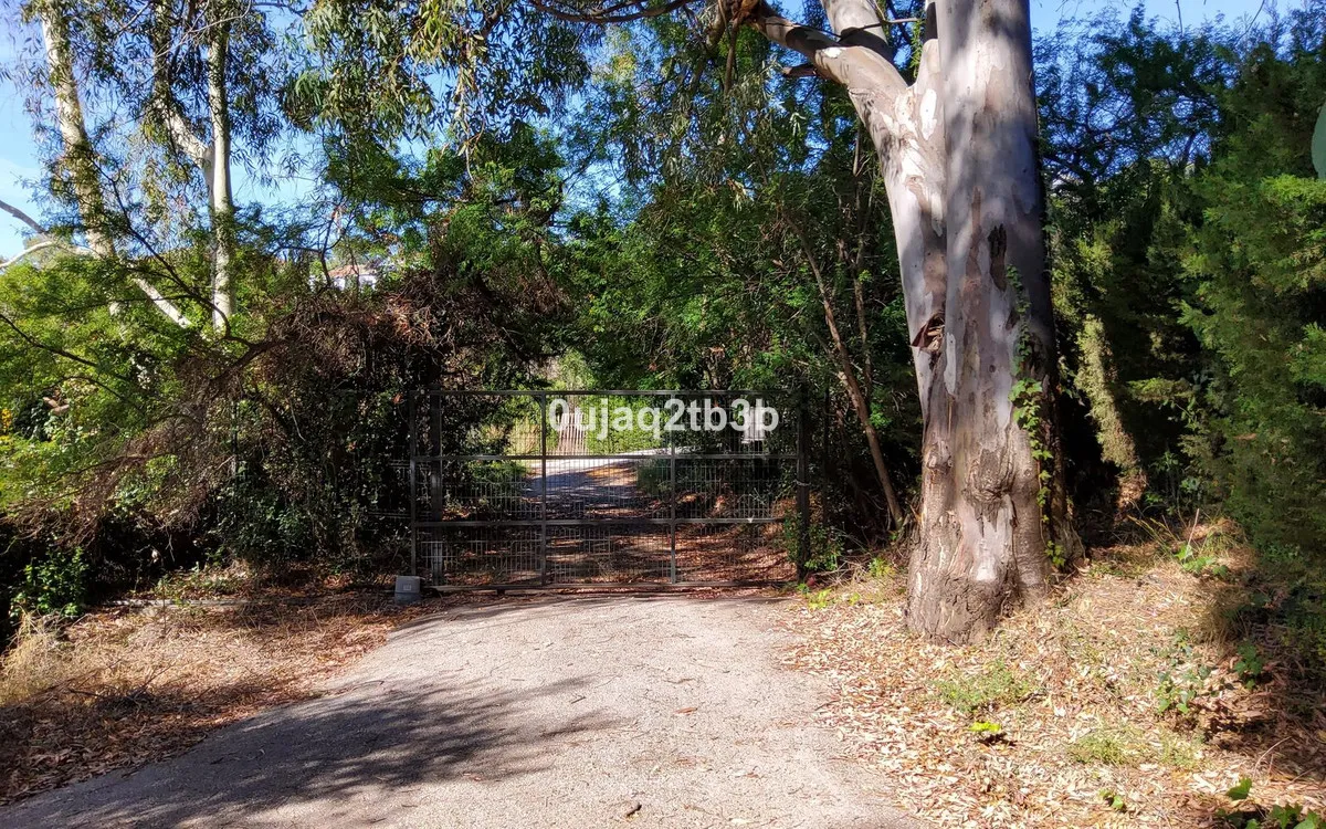 f185b303-9e93-4b2a-bca9-2424ccdc0ae2