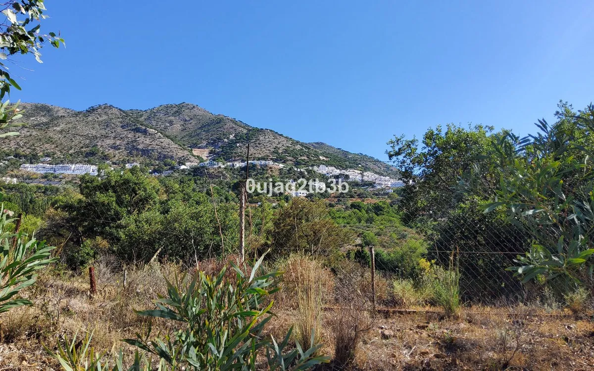 f862b980-11b7-494e-a678-481a47c8d60f