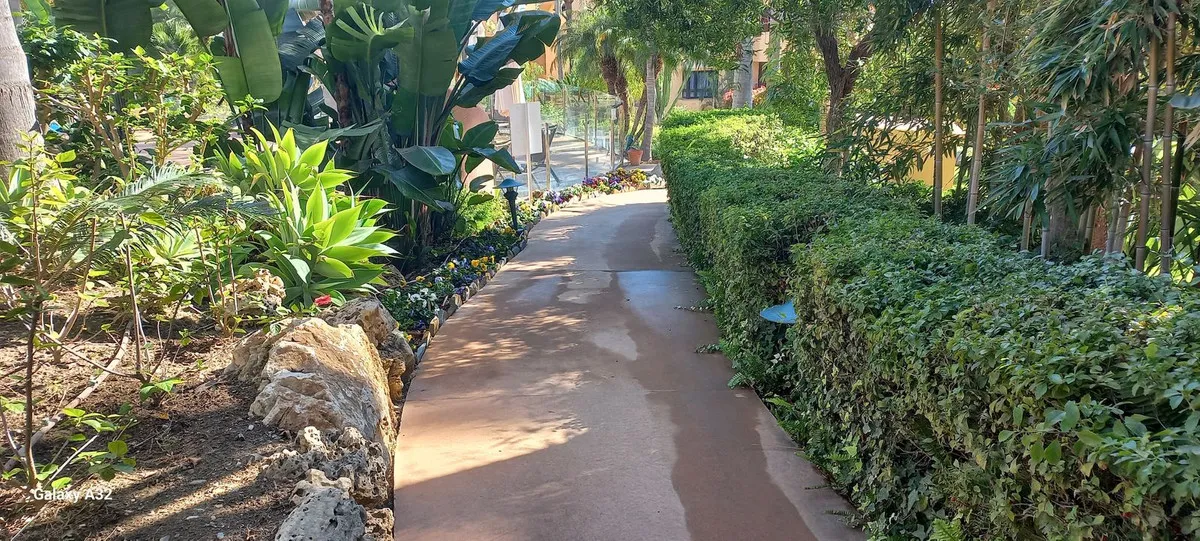 15e2c9d1-7037-4ea3-a5a3-d7316012a3b9