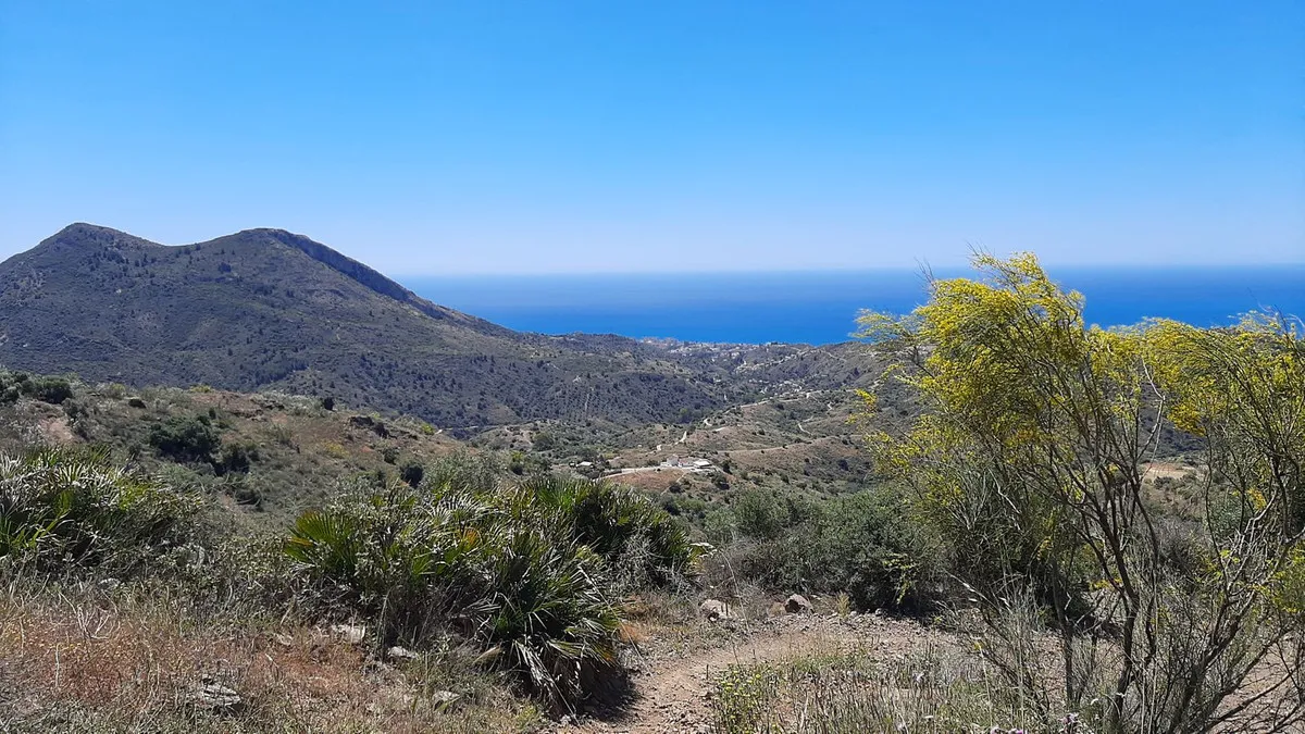 1bd31fd1-f8d5-436d-8aa1-9a1ad7351698