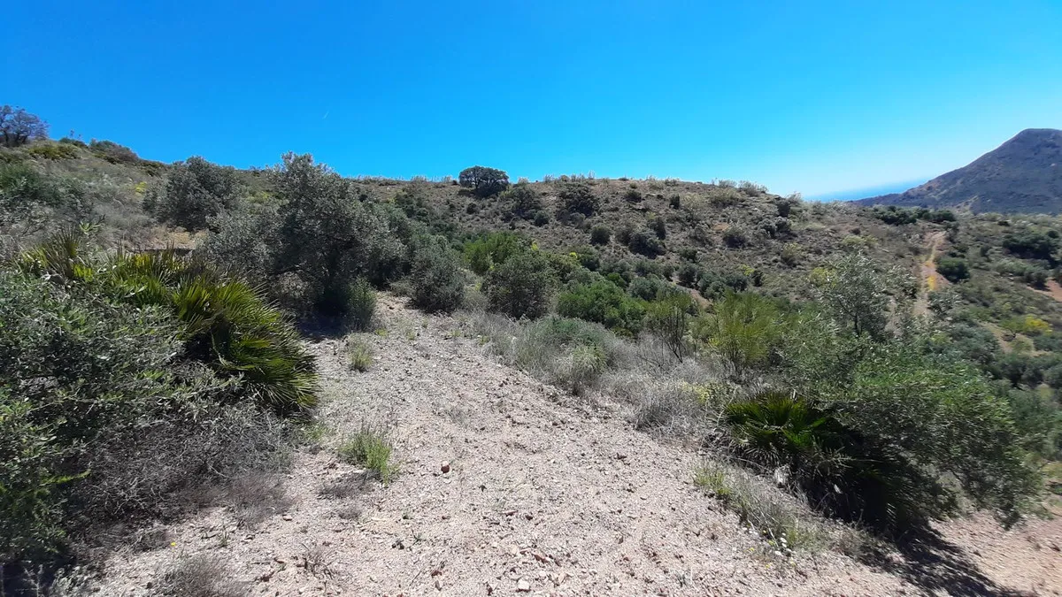 38132e66-2ee8-41a2-9798-0d8c2969f551