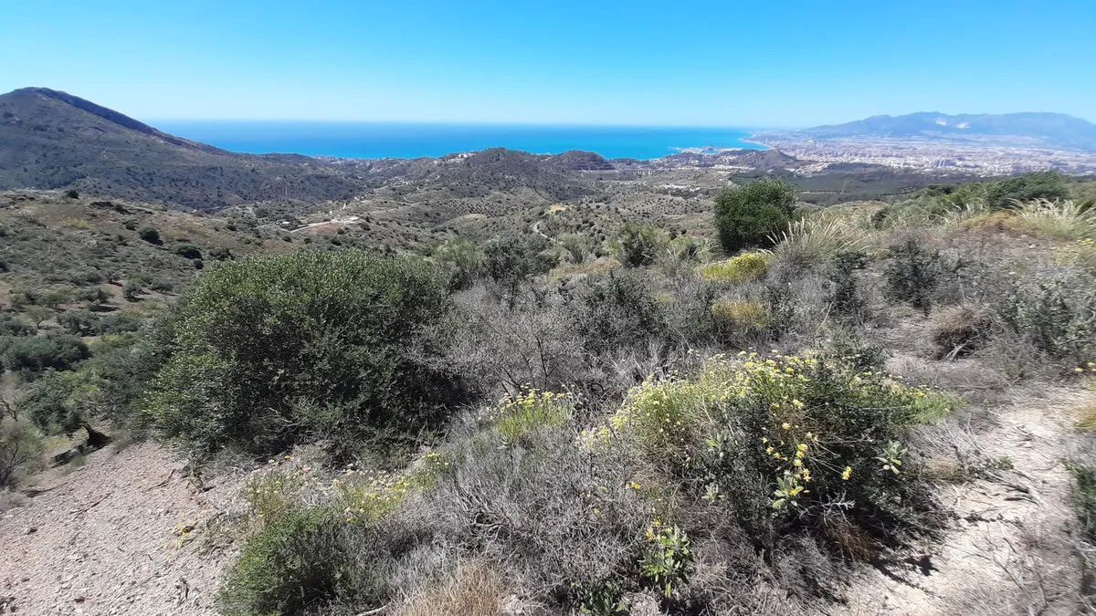 46c53549-308e-4b8f-8c45-70b2bc87fc30