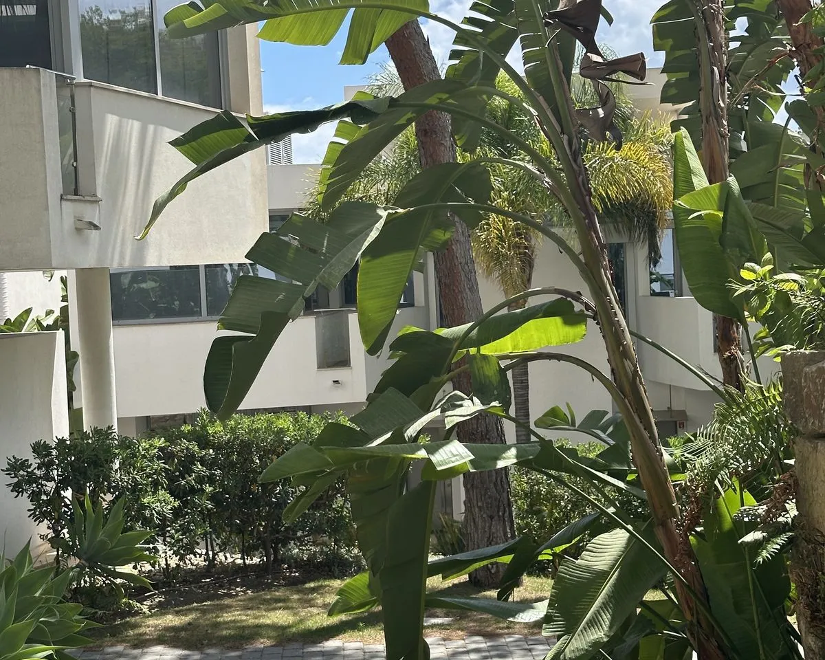 fd6e75b1-068c-4817-8949-c021ea8f13a5