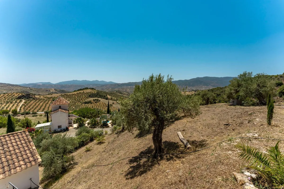 8c2c3bba-023f-42cb-8521-efa9cc239780