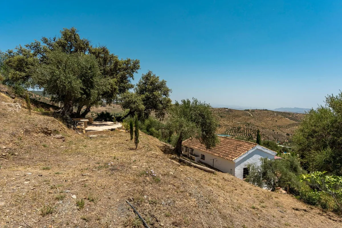 aa0d261d-d511-4412-a075-82a5060bb3fb