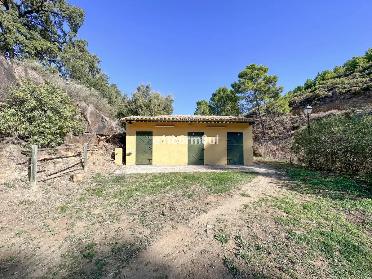 2eba331e-8d2d-4cbc-80f9-052098ca5b11