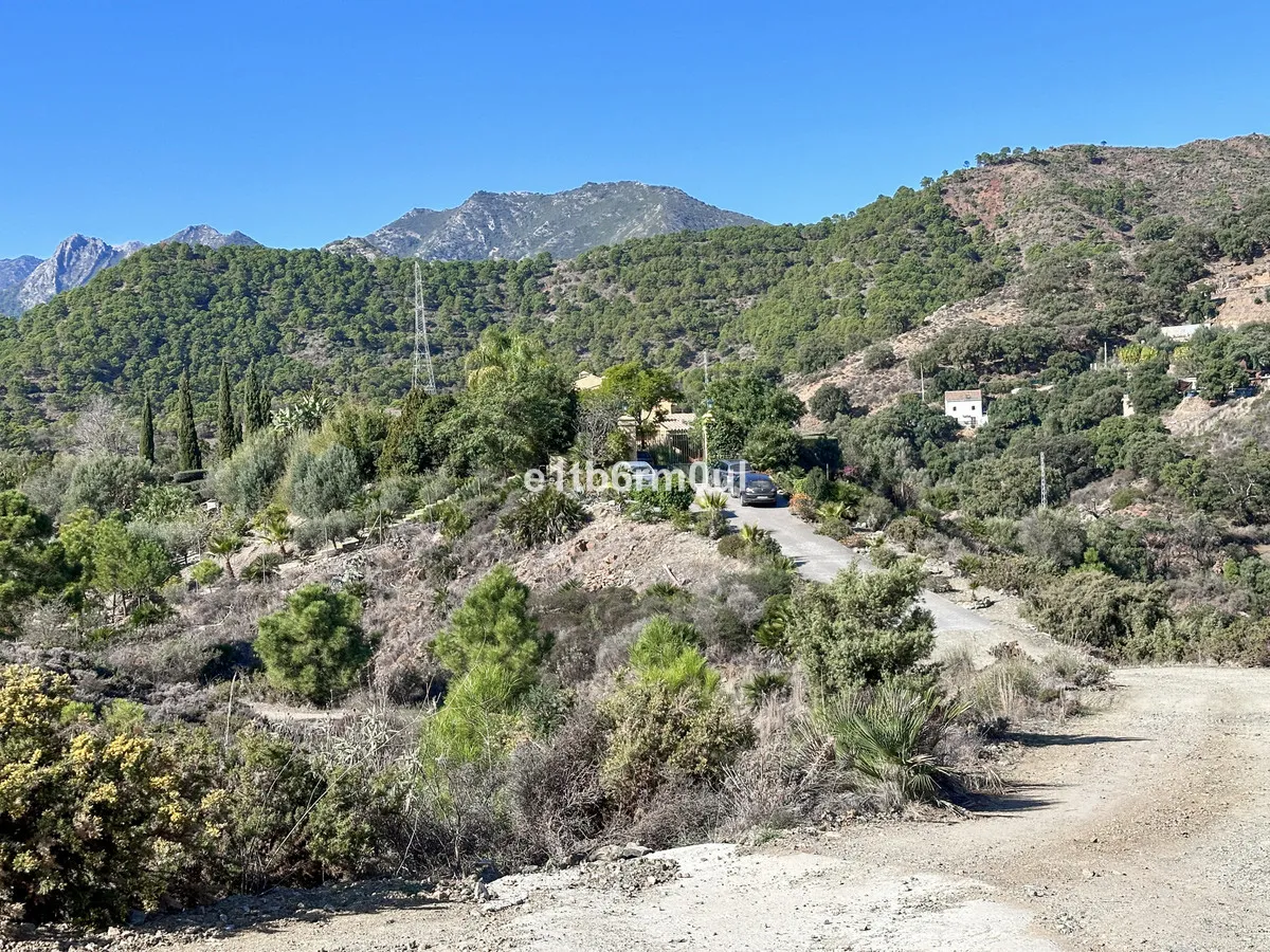 42d90963-5a19-4528-b7f9-478f77d5d884