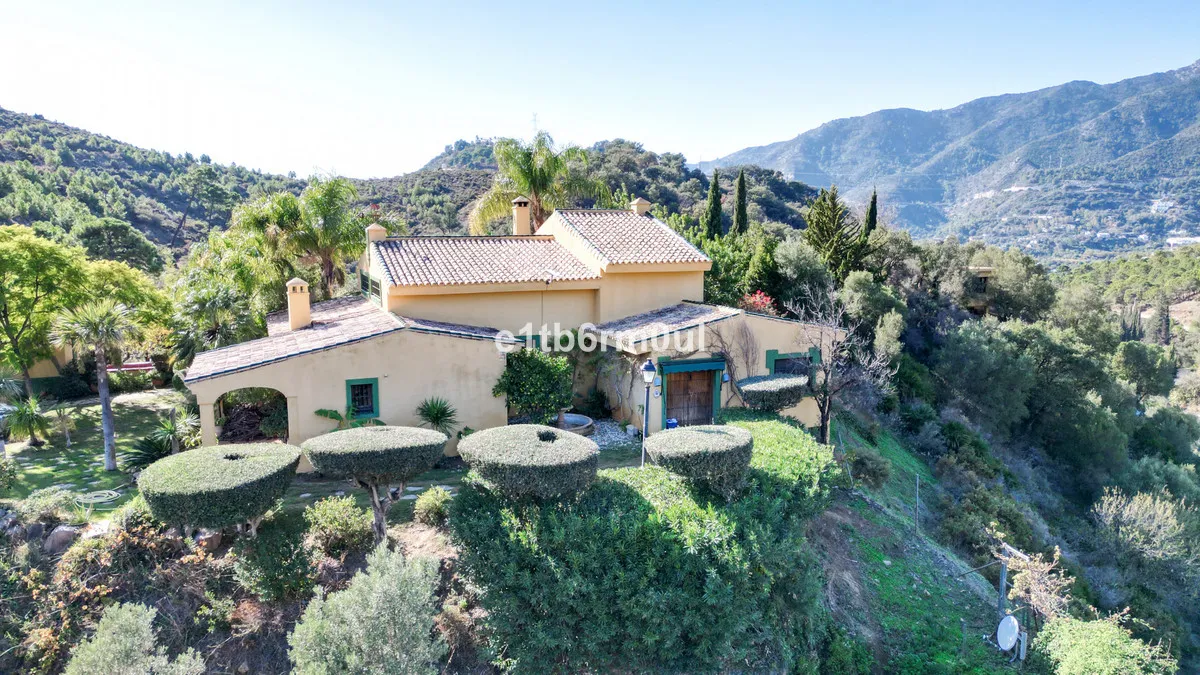 5c481977-6168-4555-a97c-978663a8735e