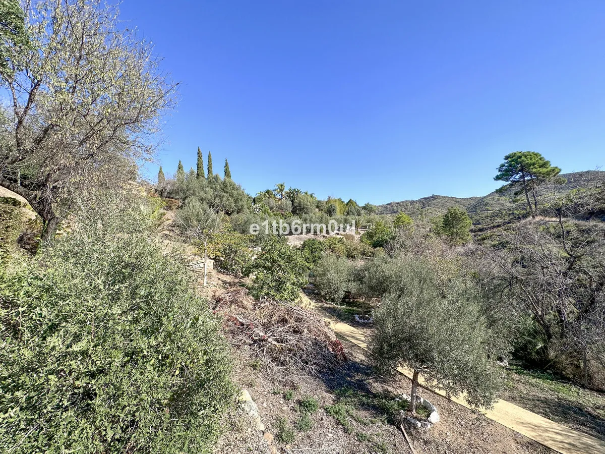 809005f6-7c63-45a3-aa7a-e90857263fef