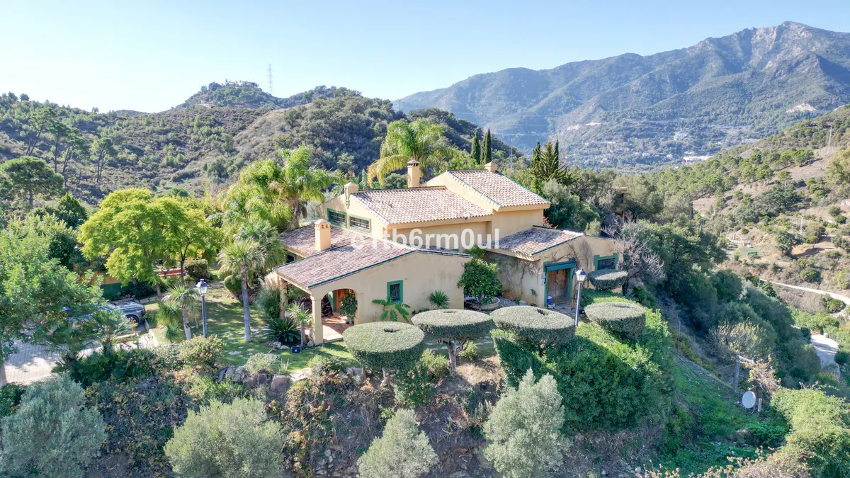 897206a4-5a30-41f6-8c93-a6e4cbb821af