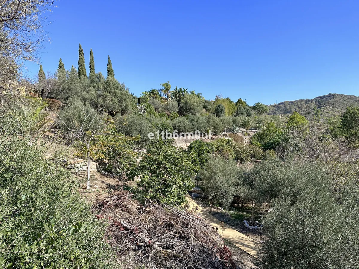 9a4fe191-3137-4d55-8095-894fdfacfb67