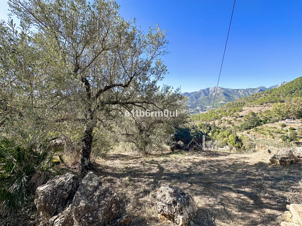 aaa47804-d4da-4ba1-972d-4d13a49abbc0