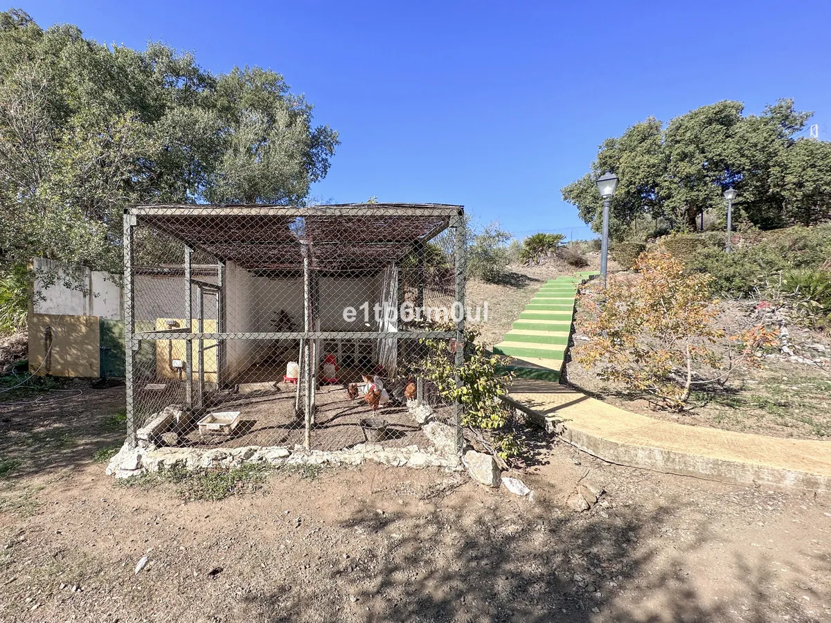 bb6f0e56-b9c0-433f-aa83-63045b23278a