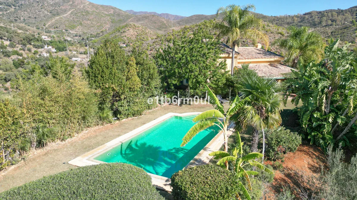 df16d208-29b4-4d69-966f-be700f749ec2