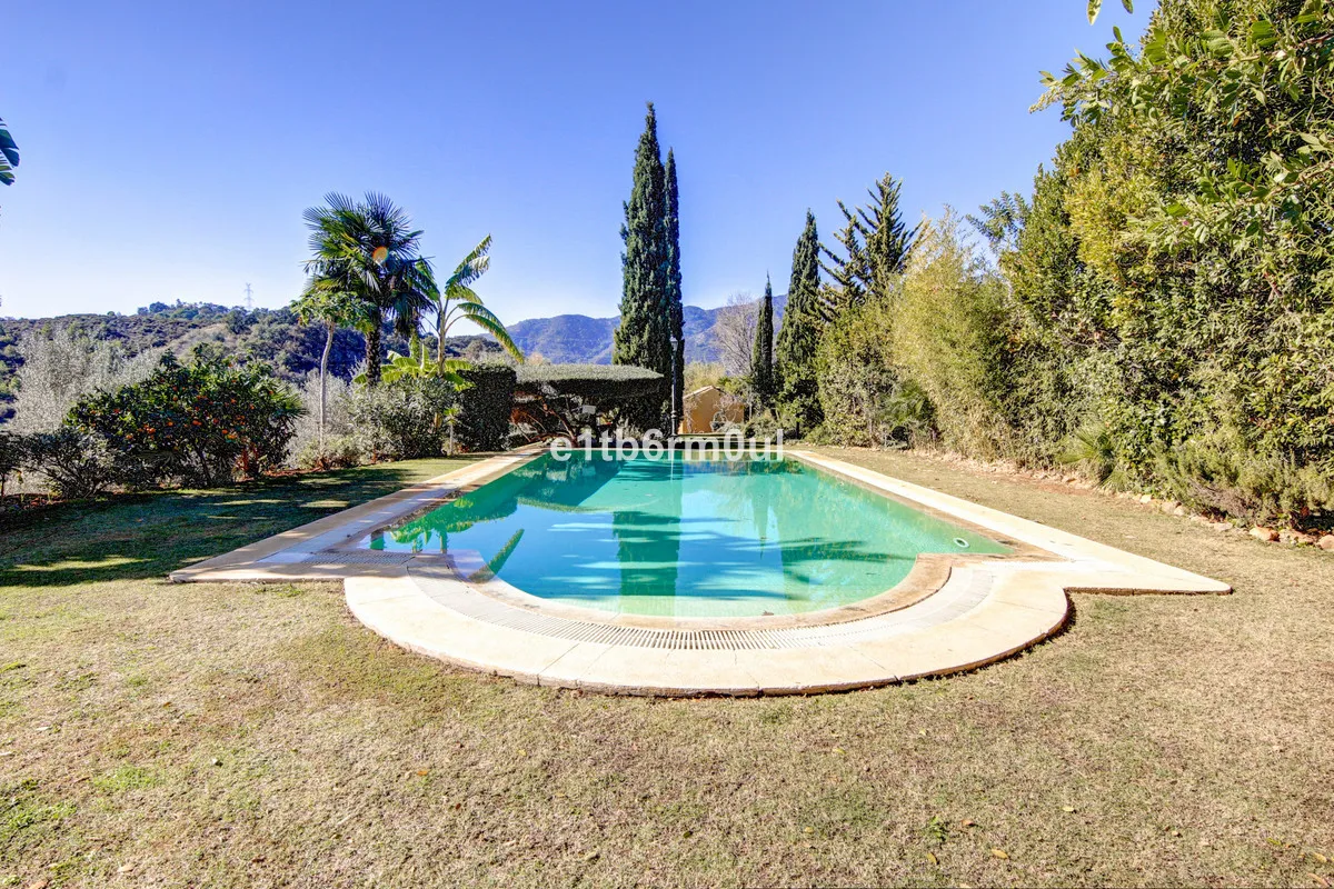 f3a2043d-67ba-45cd-b6d3-0ebf4be65c90