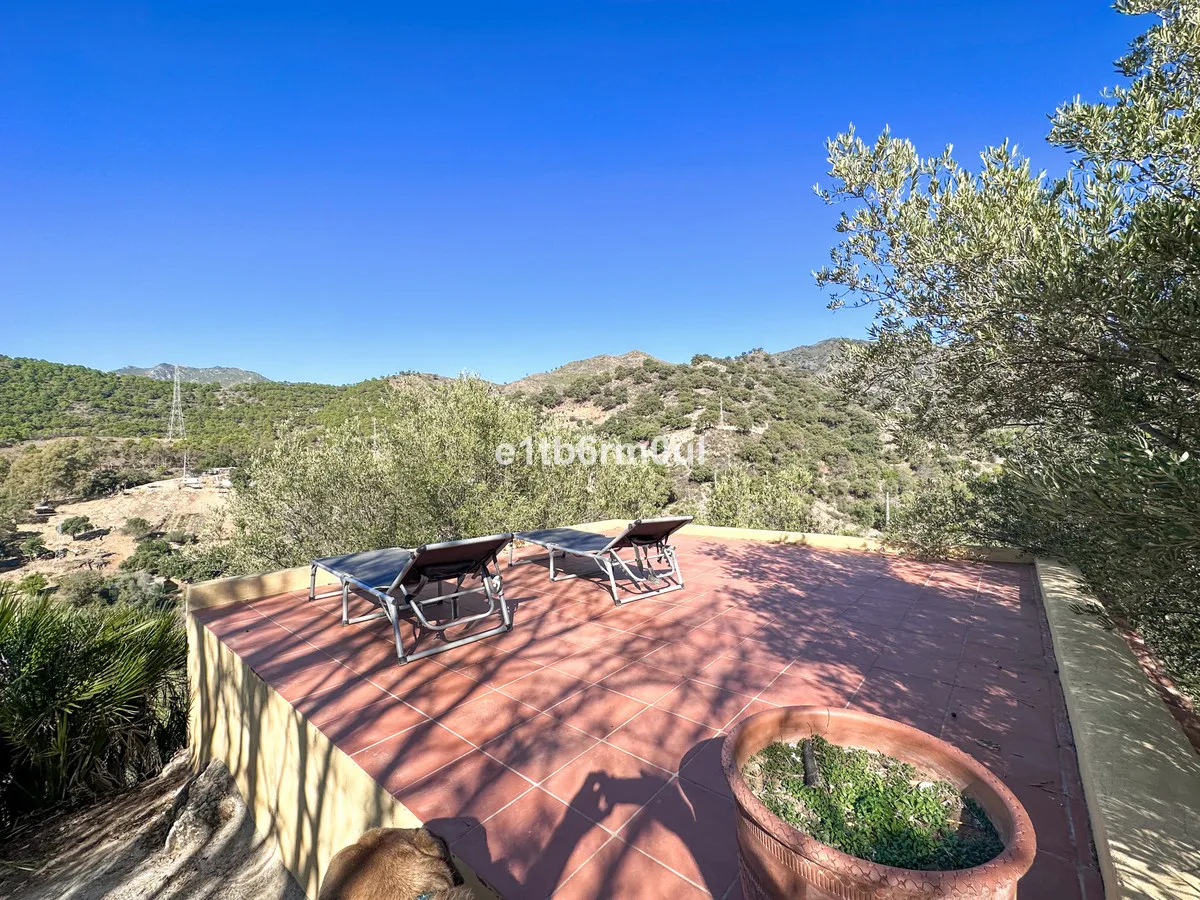 f6a4f390-685d-4c23-8d53-cbb7f2426304