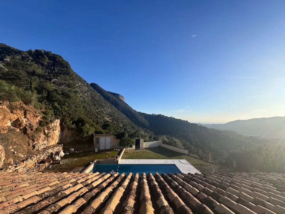 491bbdda-ea4e-4f70-8692-66a8b7ecd0b7