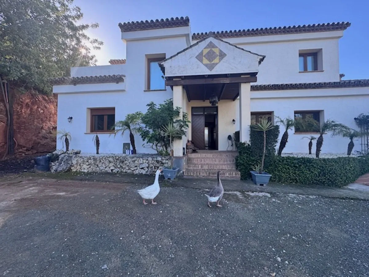 9b45a23c-033f-43fb-81d7-f8787febd93c