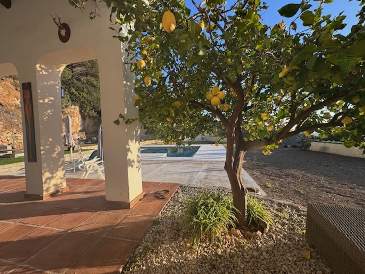 a41a3790-73ea-45bd-a7b8-fbc201064958