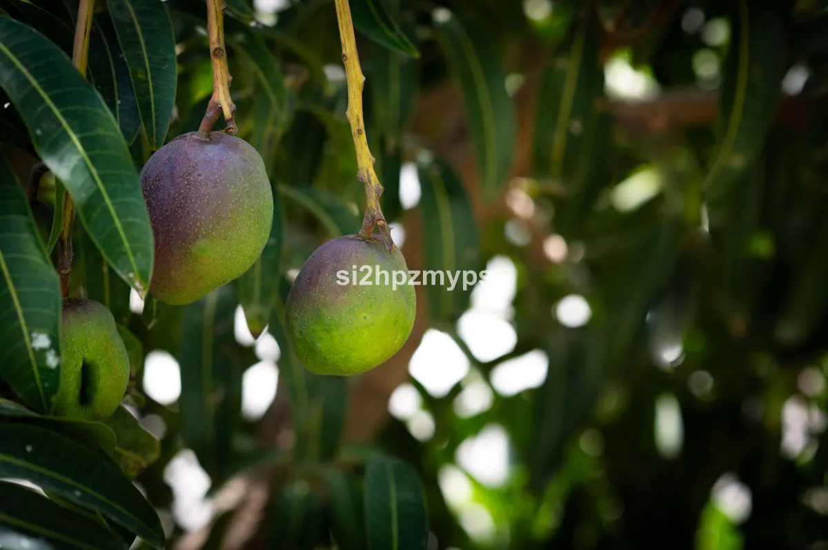 3954c3fe-8f5c-42b7-bf68-2bc042bffc56