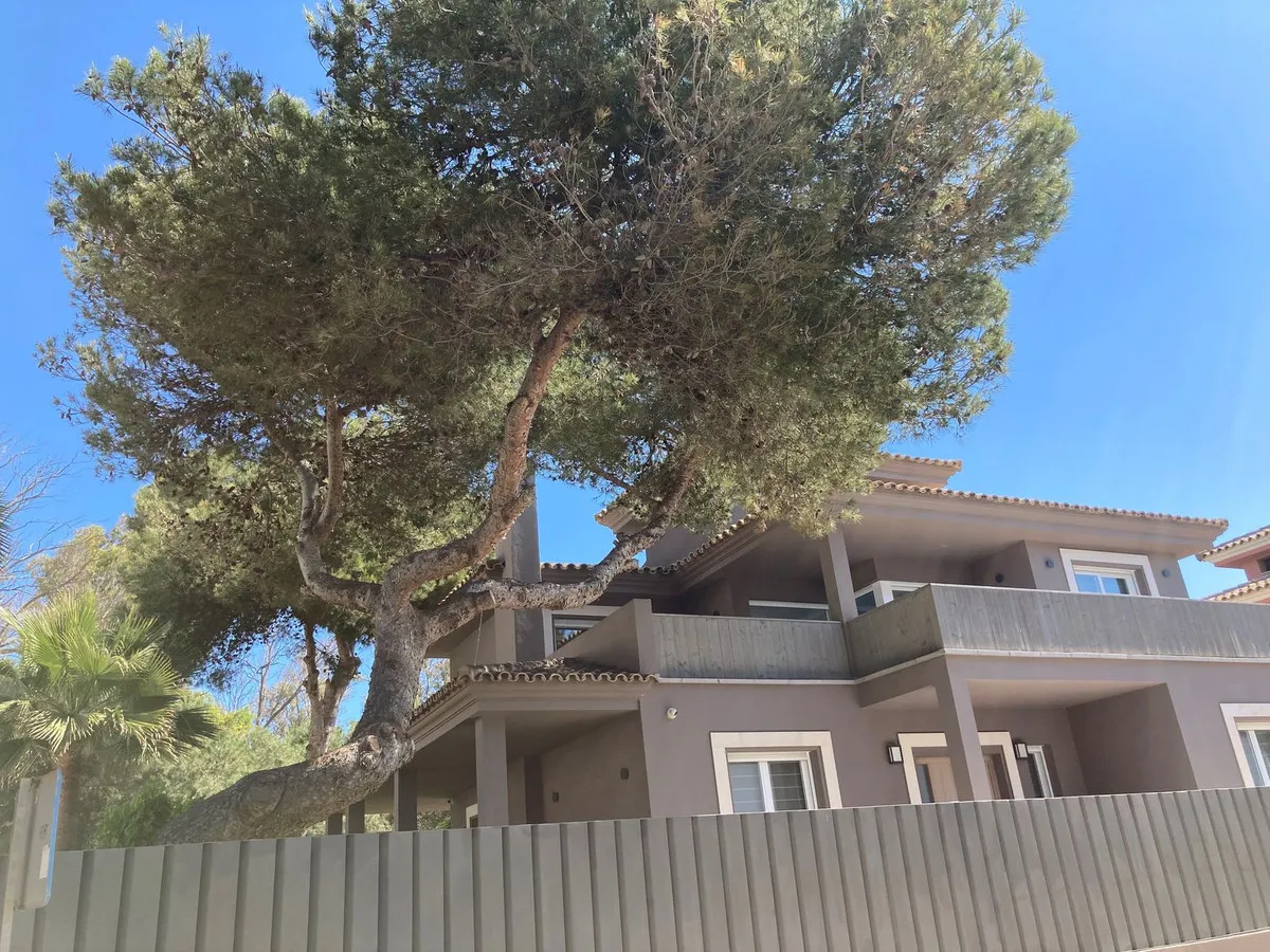 27f3ac0c-7347-44a6-9ec6-988beaa9bb65