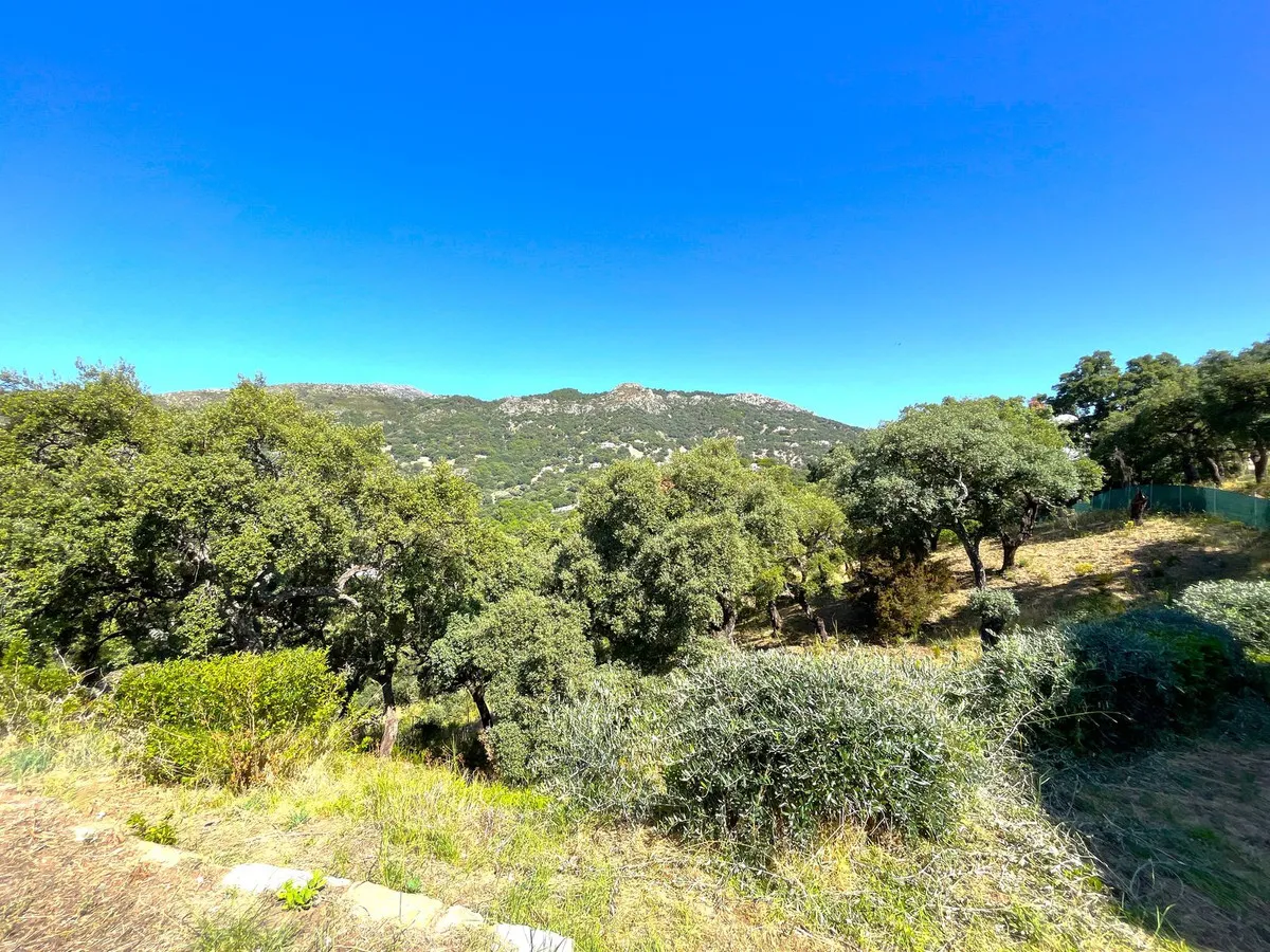 6d979d6a-0daa-4d8c-9186-e2c70c807060