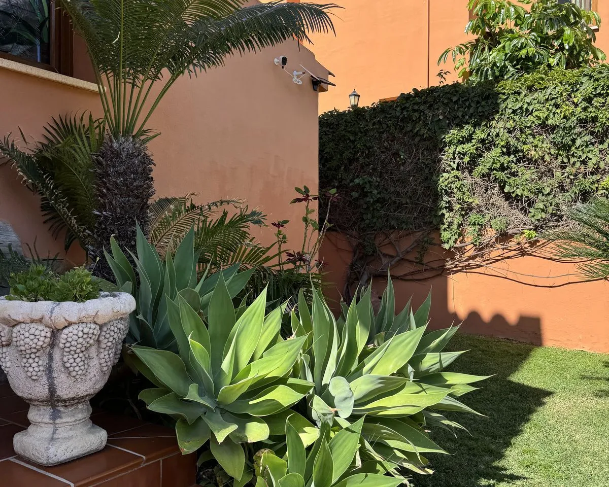 cf62e3be-2019-4033-b36e-79b87135b06f