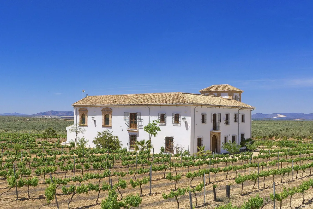 226abfe6-43eb-484f-adbf-8b34bc922c8d