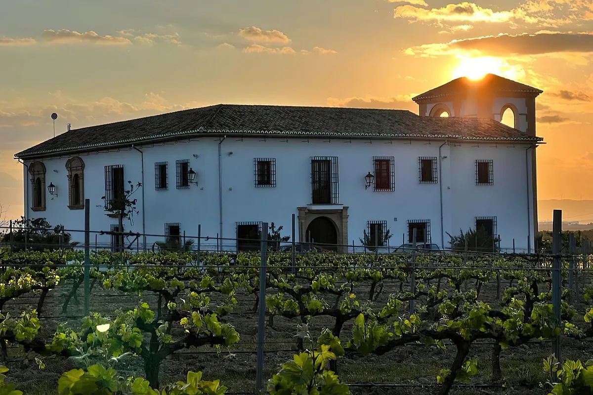 cf2921a7-060c-4e4e-8c67-93610ff9ee11