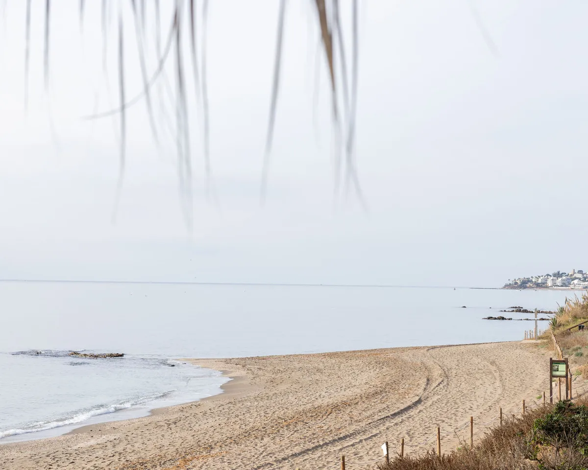 95653785-5bad-447d-9aa3-5959f4621453