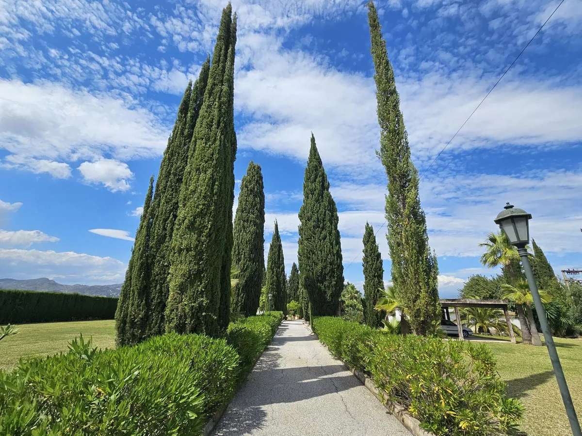 ec0e924f-c2cf-43ea-90cf-298992ec34e0