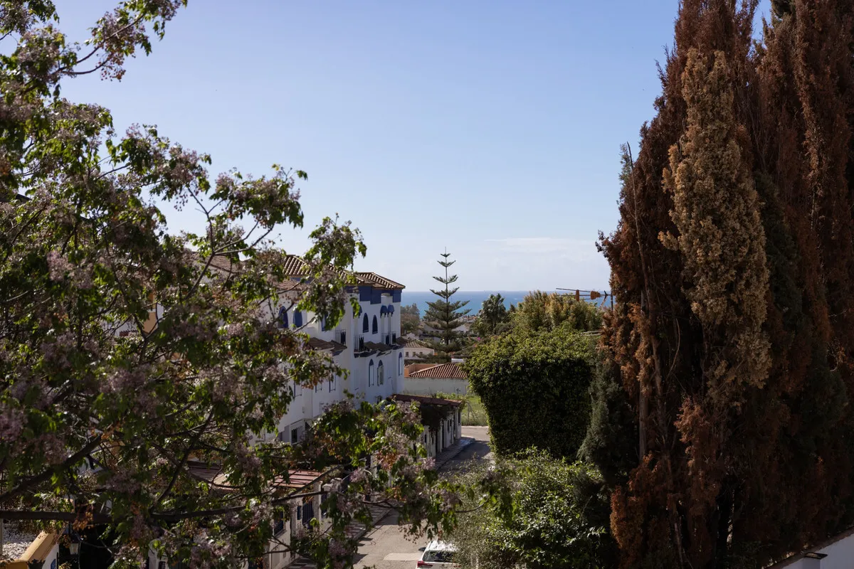 30adc686-5227-46ae-a610-0b37e2f38386