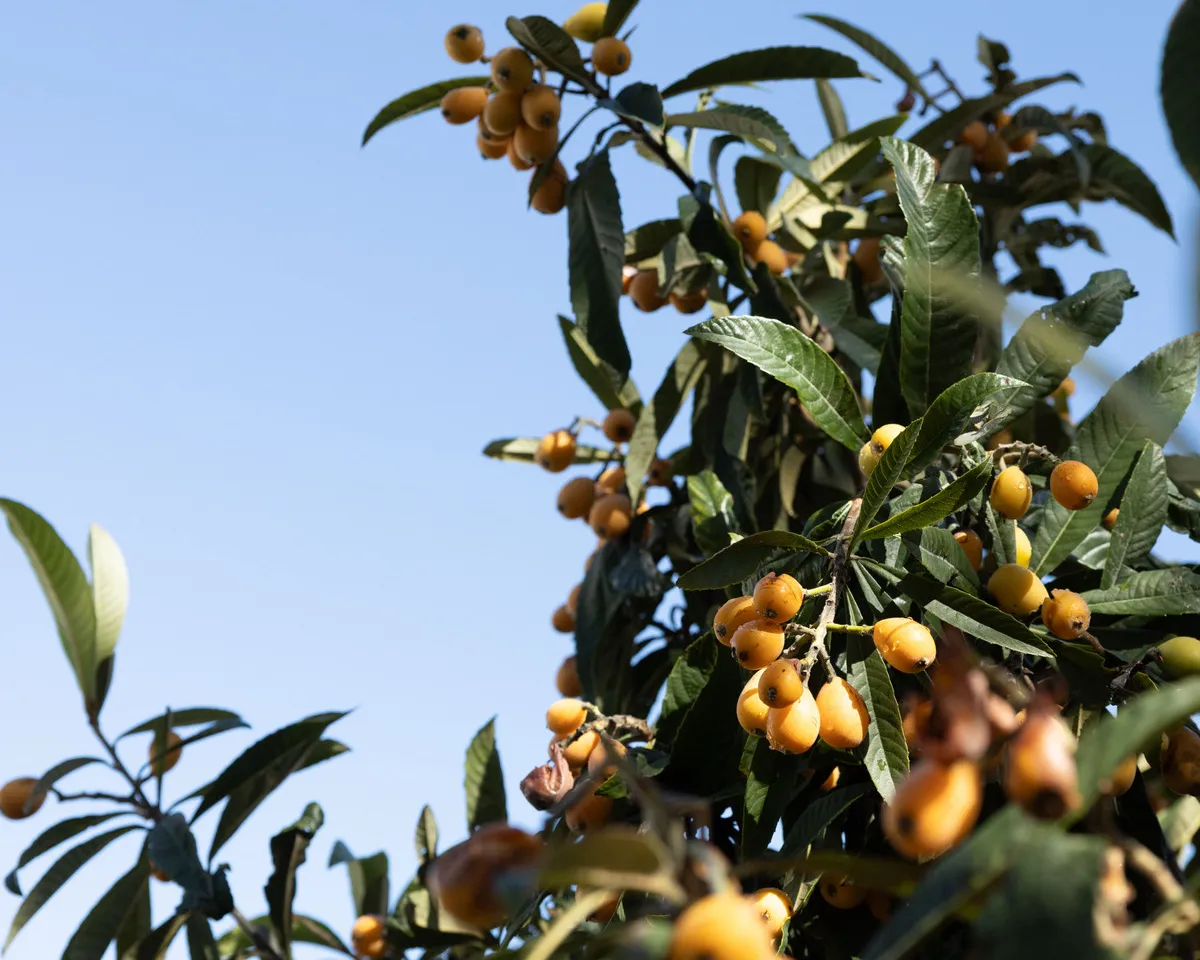 e2c5666a-0caa-4b98-83e7-c69354f1e1b7