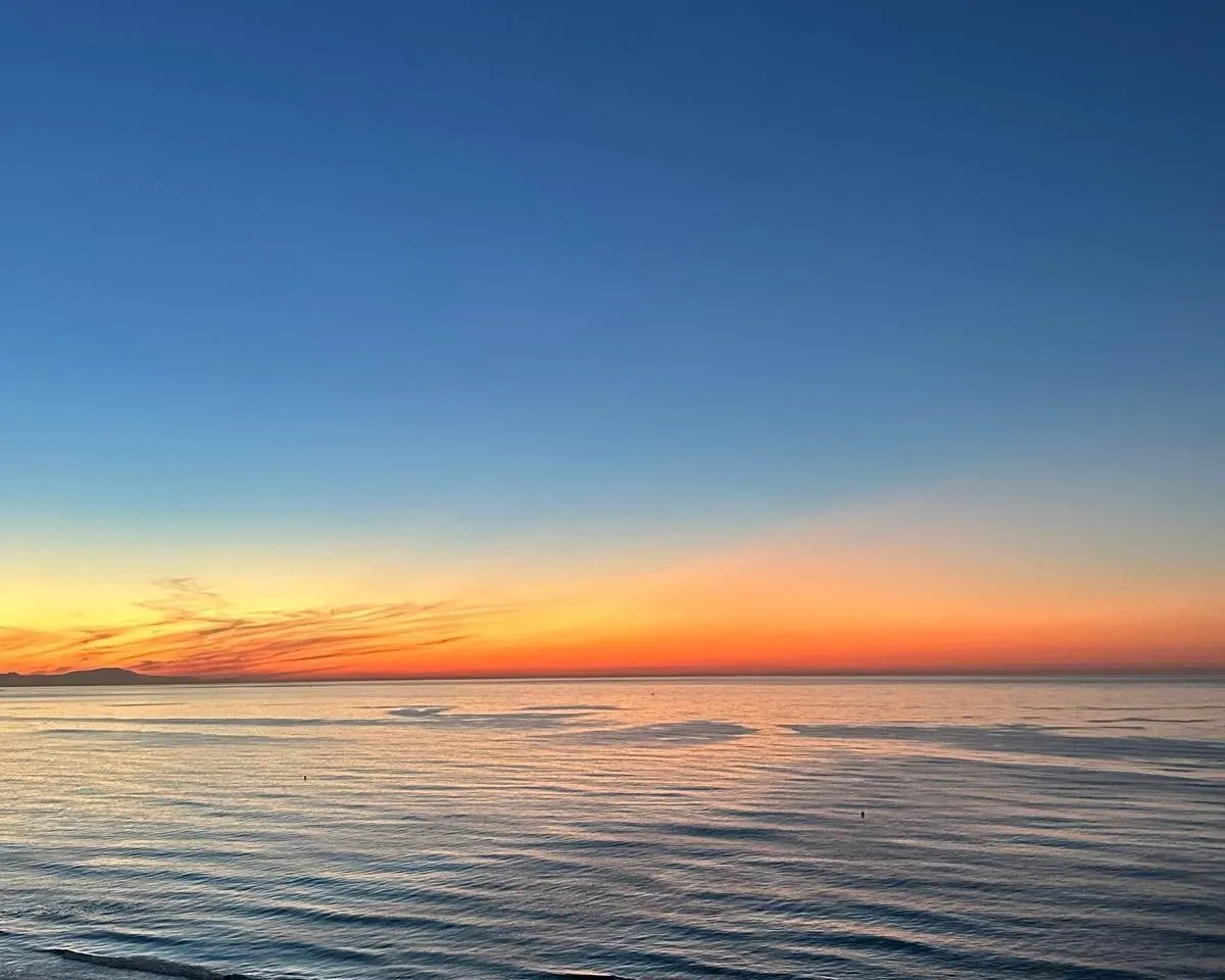 8fc9d891-1d04-442a-a32d-af4afd0ee029