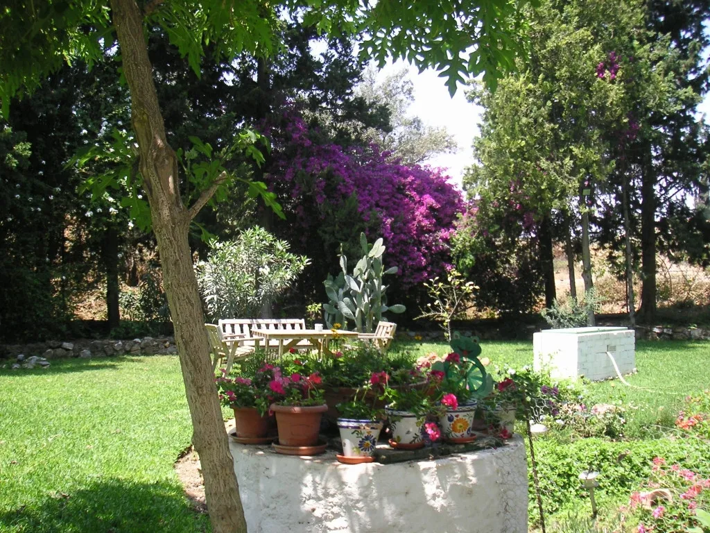 935b6d89-3a9a-4d4d-b98f-20c971e9a781