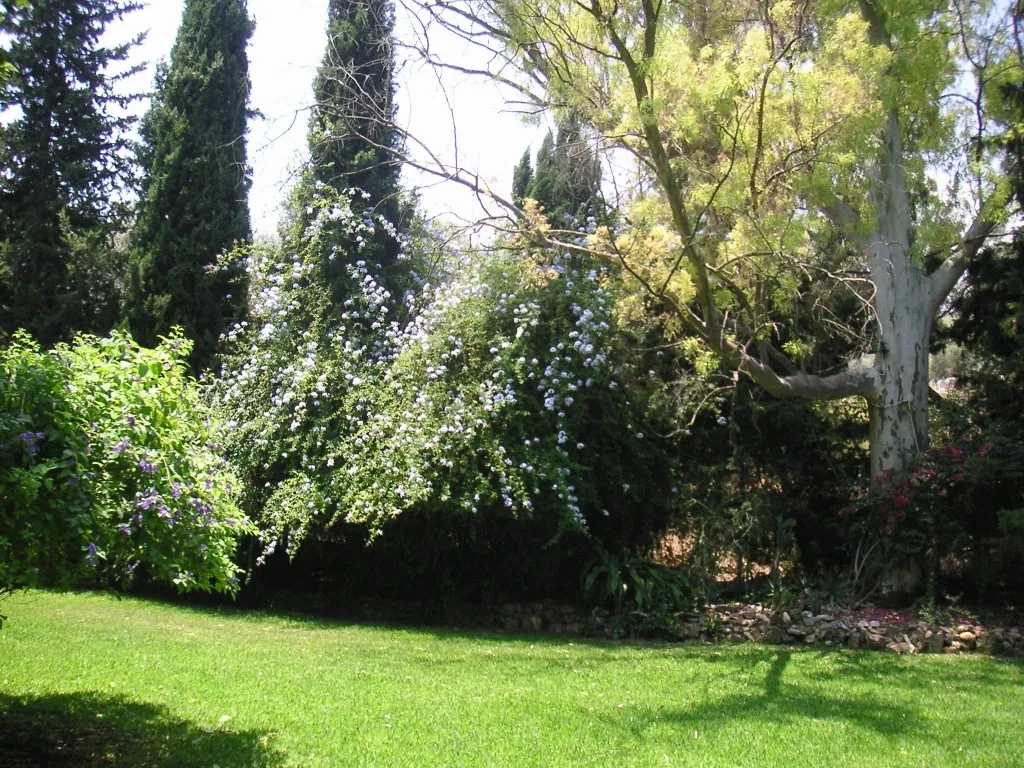 b7dba6ba-e015-4af5-a03f-485db40922d6