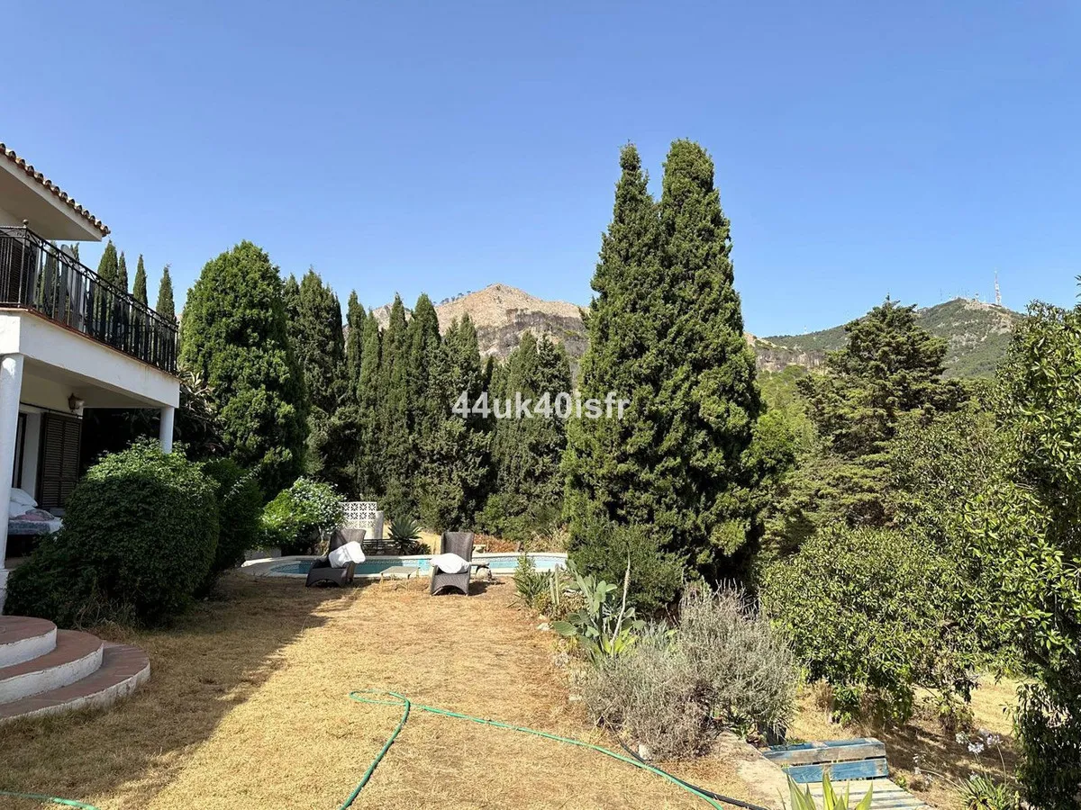 c3933e8f-1810-4684-ae8d-55330833a282