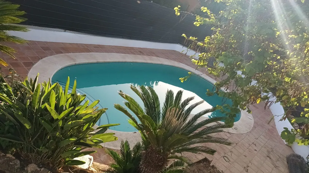 90b67f58-8381-4d43-9f87-f3affe070010