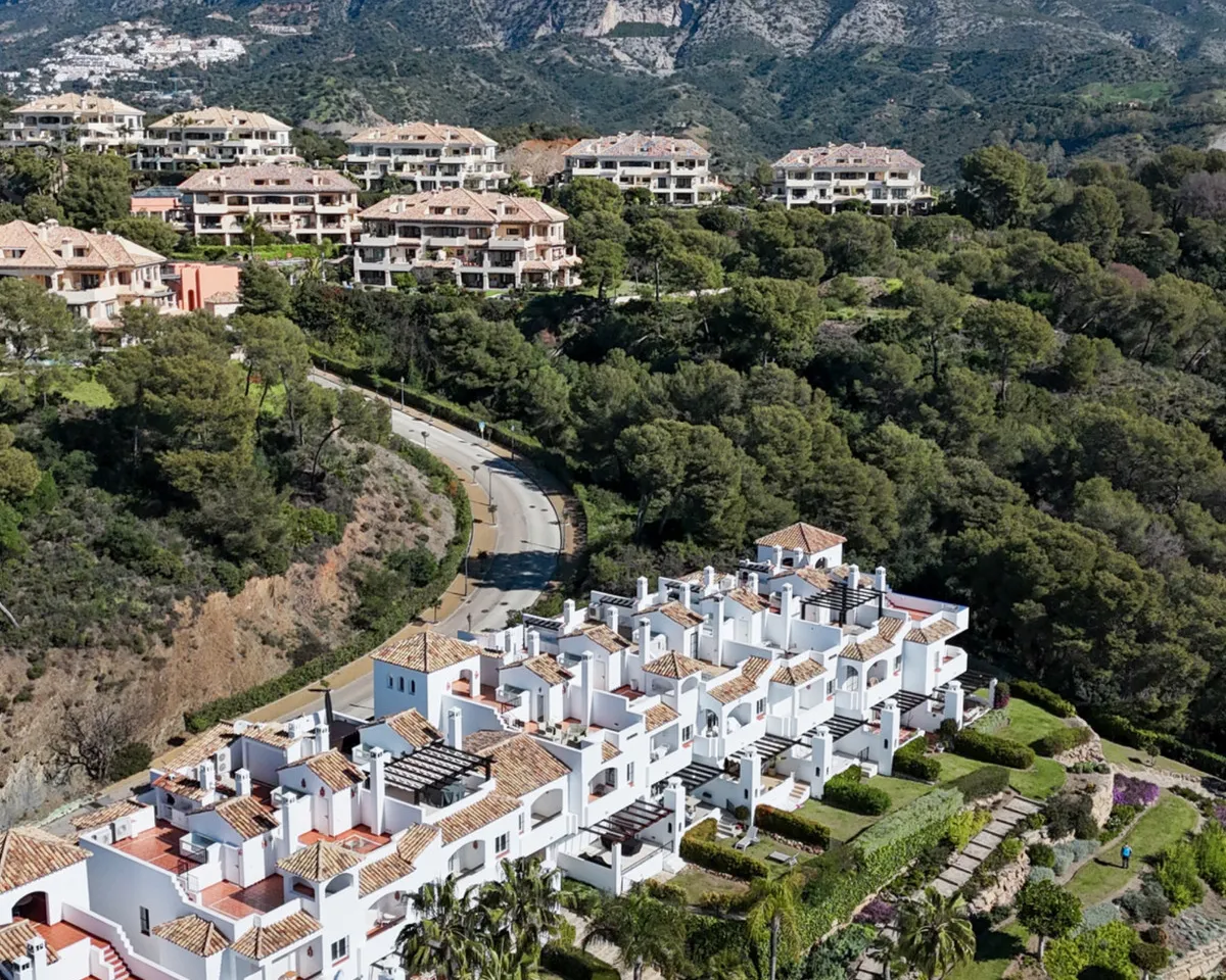 0856e7b5-610a-4e8a-9be5-d38e028ed997