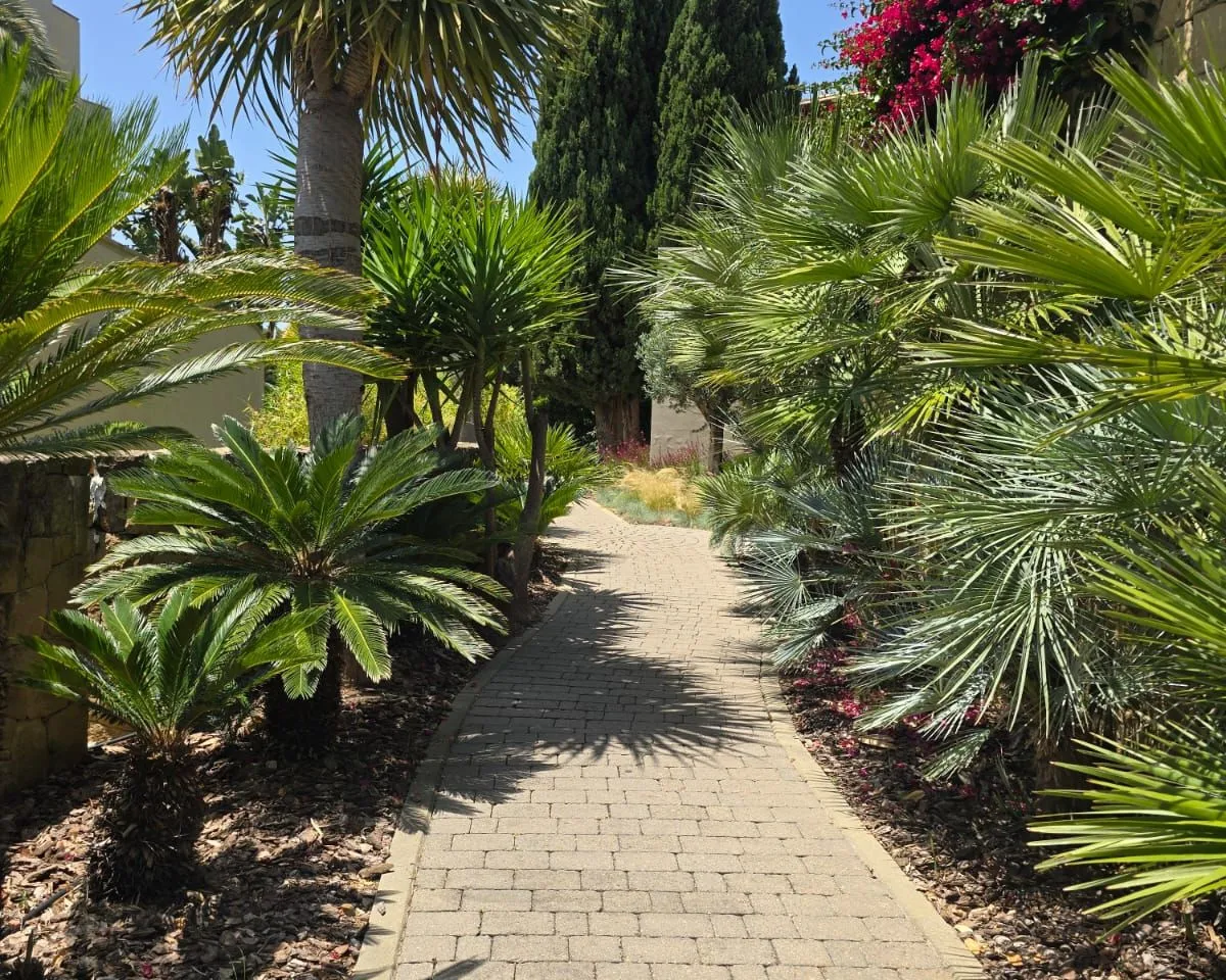 a33033ac-5107-445e-b8e7-1e3b564bca9a