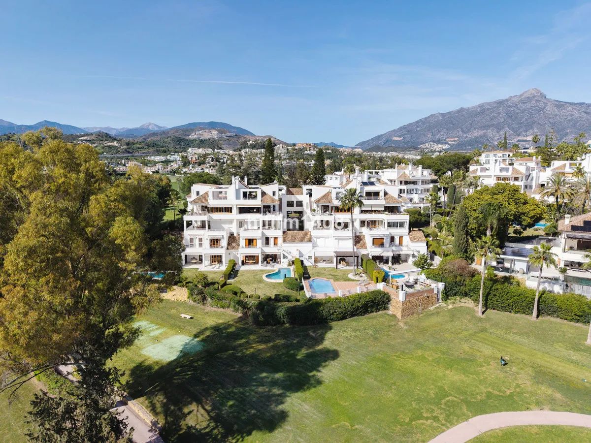 331f0cea-edb0-4e8d-bba7-384cf8a3160e