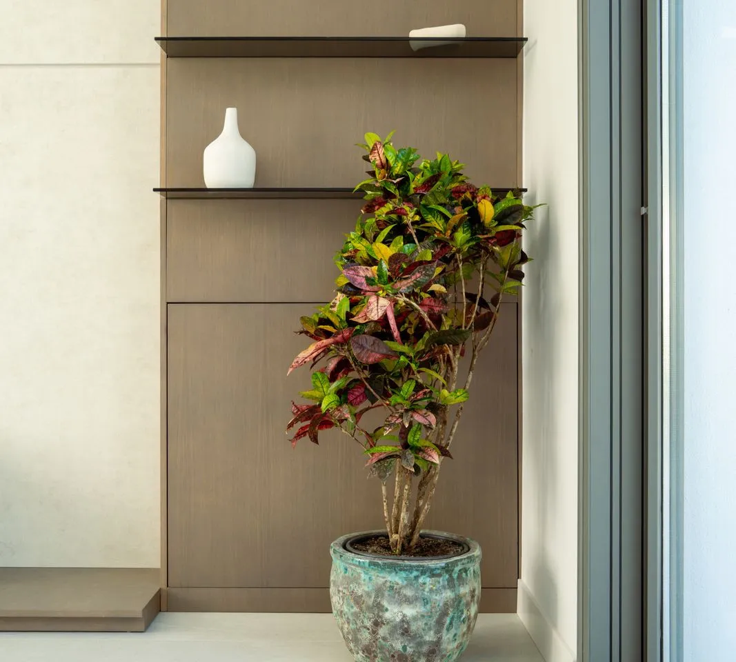 1e3a5c4f-a229-4ce6-8286-c588f4b5b091